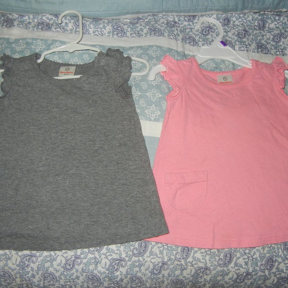 2 Hanna Andersson Pink Gray Ruffle Basic Top/dres